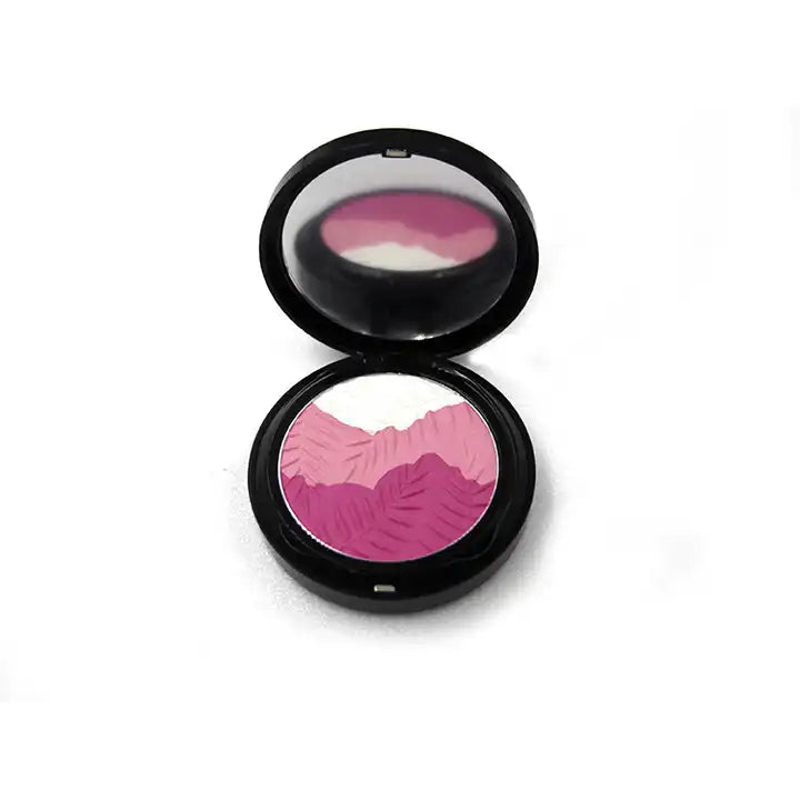 Mix Colors Makeup Blushes